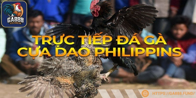 Đăng ký để tham gia đá gà Mỹ Philippines