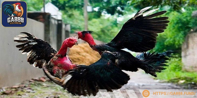 Các bạn cần phải chọn nền tảng tham gia phù hợp